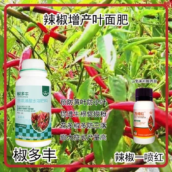 花芽分化小米辣葉面肥辣椒葉面肥廠家批發(fā)