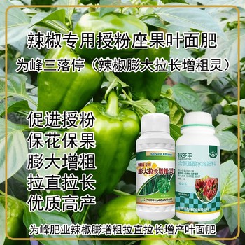 促進授粉辣椒膨大拉長增粗靈葉面肥價格,為峰肥業(yè)廠家
