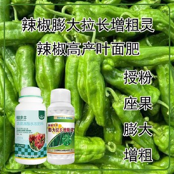 促進授粉辣椒膨大拉長增粗靈葉面肥價格,為峰肥業(yè)廠家
