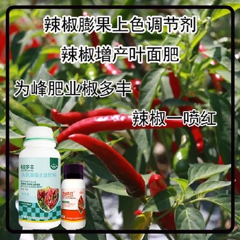 膨大拉長線椒葉面肥招商為峰肥業(yè)辣椒葉面肥