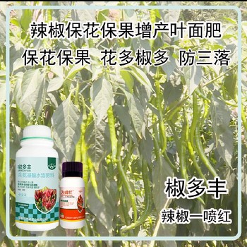 ?；ū９€椒葉面肥效果辣椒葉面肥廠家批發(fā)
