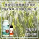 花芽分化菜椒葉面肥價(jià)格圖