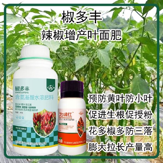 膨大拉長(cháng)辣椒葉面肥多少錢(qián)辣椒葉面肥廠(chǎng)家批發(fā)
