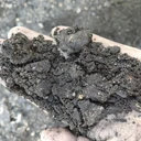 糖廠粉末活性炭回收費用糖廠粉末活性炭回收