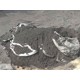 泰興市回收木糖醇廠粉末活性炭原理圖
