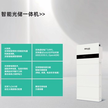 湛江桑尼別墅綠電儲能電網(wǎng)