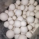 銅陵工業(yè)瓷球回收