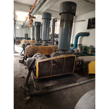 陽(yáng)東羅茨風(fēng)機維修,羅茨風(fēng)機維修節能改造,羅茨風(fēng)機維修電話(huà)