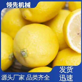 南昌工業(yè)檸檬多輥榨汁機(jī)價(jià)格表