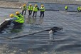 忻州防滲膜廠家,魚池用hdpe土工膜