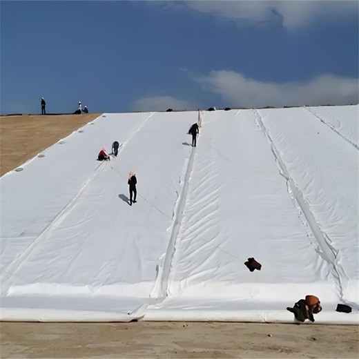 嘉興復合土工膜廠家,人工湖600g兩布一膜一布一膜