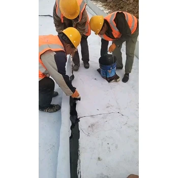 達(dá)州生產(chǎn)土工布廠家,防塵保溫400g園林綠化用布600聚酯布