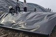 常德土工膜廠家,HDPE高密度聚乙烯,防滲膜價格