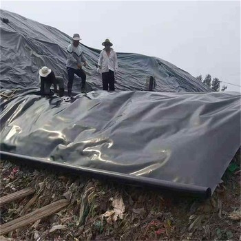 海南土工膜廠家,hdpe單雙糙面魚塘防滲膜