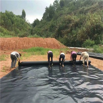 河南防滲膜廠家,水池,防滲土工膜價格