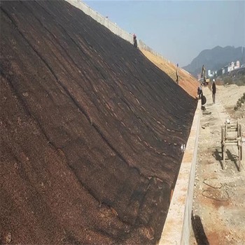 大慶水土保護(hù)毯廠家，護(hù)坡固土柔性水土保護(hù)毯