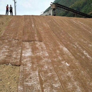 岳陽(yáng)椰絲毯廠家,礦山復(fù)綠植生毯，椰絲纖維毯