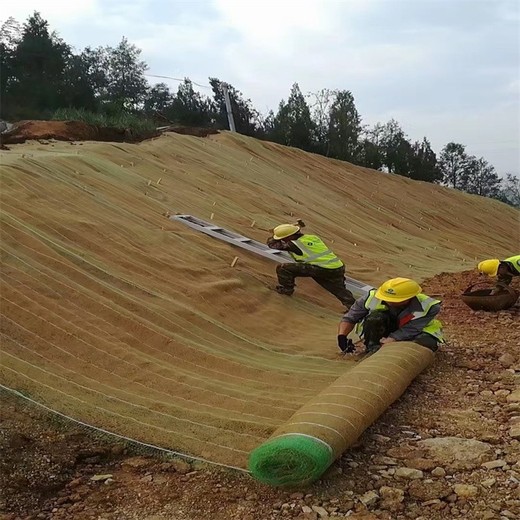 漢沽椰絲毯廠家,礦山復(fù)綠植生毯，椰絲纖維毯