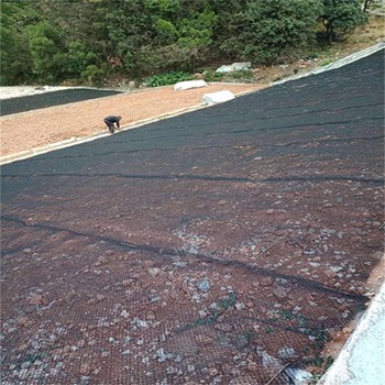 大慶水土保護(hù)毯廠家，護(hù)坡固土柔性水土保護(hù)毯