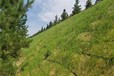 丹東椰絲毯廠家,礦山復(fù)綠植生毯，椰絲纖維毯