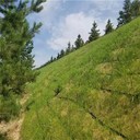 白山椰絲毯廠家,加筋抗沖生物毯植物纖維毯植被毯