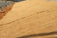 河西椰絲毯廠家,礦山復(fù)綠植生毯，椰絲纖維毯