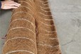 阿拉善盟椰絲毯廠家,礦山復(fù)綠植生毯，椰絲纖維毯