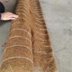 水庫河道300g固土植被毯圖