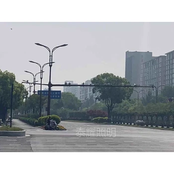 上海監(jiān)控桿,道路監(jiān)控桿價(jià)格