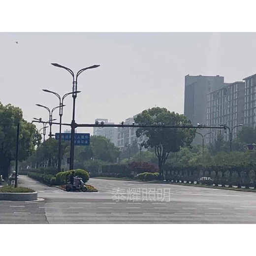 湖州監(jiān)控桿,道路監(jiān)控桿廠家
