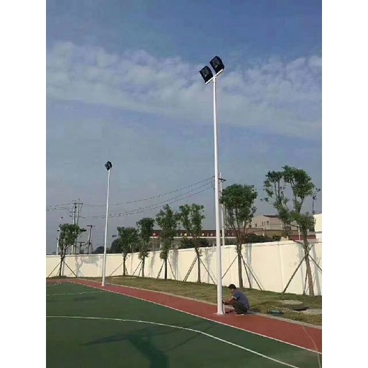 漢中市電路燈桿,庭院燈價格