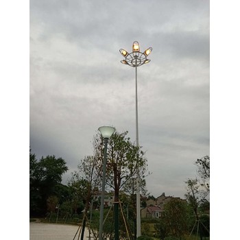 運(yùn)城市電路燈桿,信號燈桿廠家