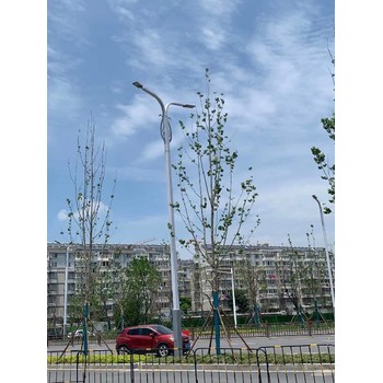 日照供應(yīng)市電路燈桿,人行道信號燈廠家