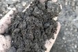 拱墅區回收木糖醇廠粉末活性炭