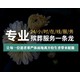 殯葬服務(wù)圖
