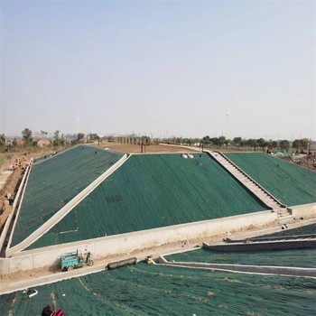 邊坡綠化護坡麻椰固土毯廠家