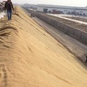 使用邊坡河岸抗沖椰絲毯礦山綠化