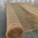 加筋植生毯植物纖維毯綠化護(hù)坡廠家原理圖