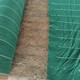 定制椰絲毯植生毯廠家圖