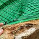 煤礦椰絲植被毯廠(chǎng)家圖