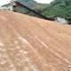 秸稈草毯有椰絲毯植生毯和植物纖維毯展示圖