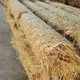 400g椰絲毯價格多少錢一平樣例圖