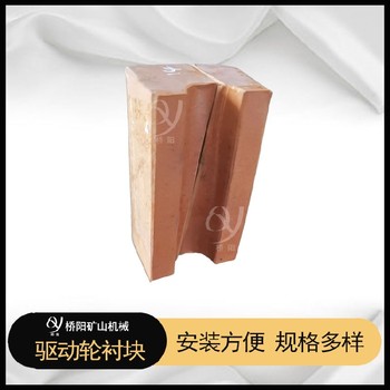 斜井主導(dǎo)膠塊98X77X28長沙猴車用襯塊