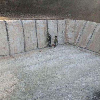 臺(tái)州水泥毯廠家,人工湖15公斤針刺復(fù)合水泥毯