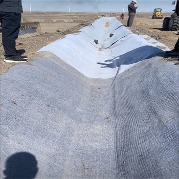 達(dá)州水泥毯廠家,水渠8公斤針刺復(fù)合水泥毯
