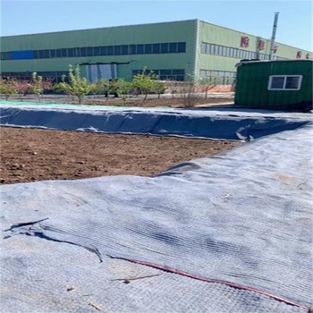 達(dá)州水泥毯廠家,水渠8公斤針刺復(fù)合水泥毯