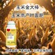 金大棒玉米葉面肥圖