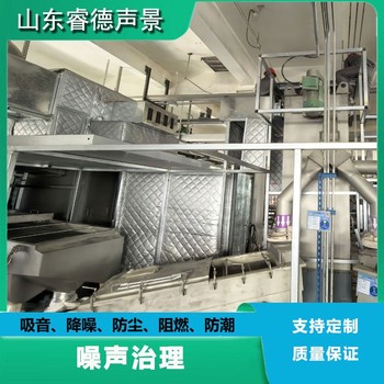 東營車間設備隔音降噪治理就找睿德聲景