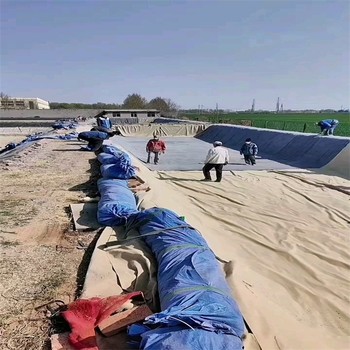 臺(tái)州水泥毯廠家,人工湖15公斤針刺復(fù)合水泥毯