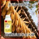 玉米葉面肥金大棒批發(fā)圖